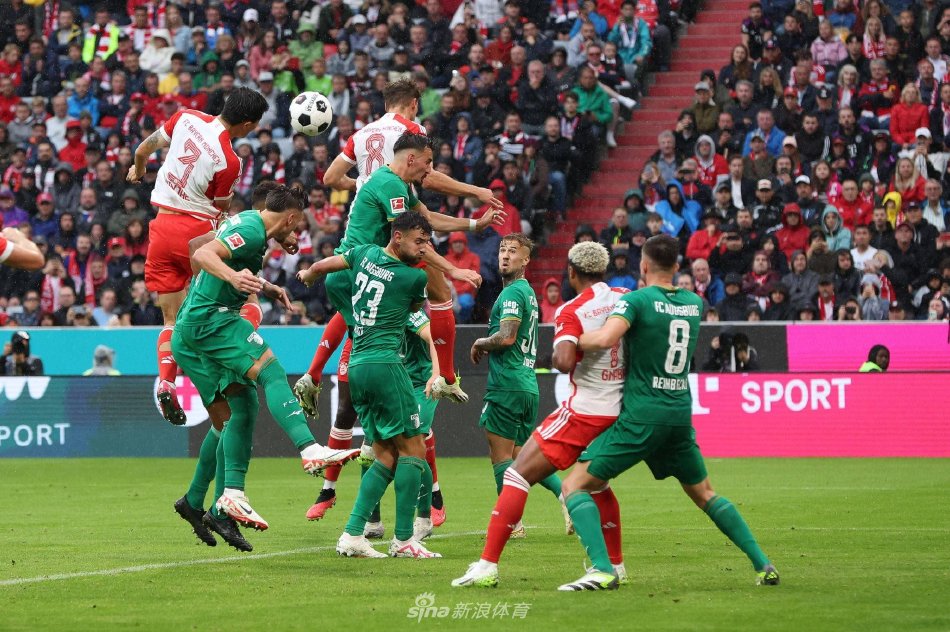 迷和媒体的 迷和媒体的